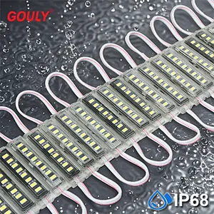 DC24V Energy Efficient IP68 Outdoor Waterproof LED Module Light
